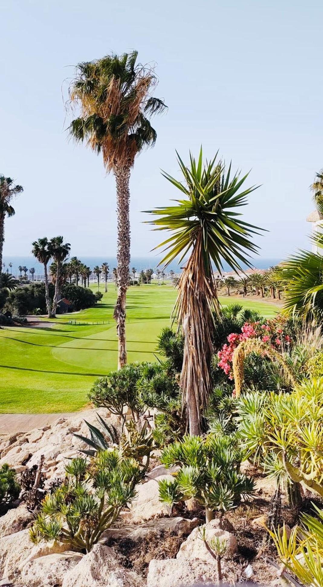 דירות סן מיגל דה אבונה Amarilla Golf מראה חיצוני תמונה